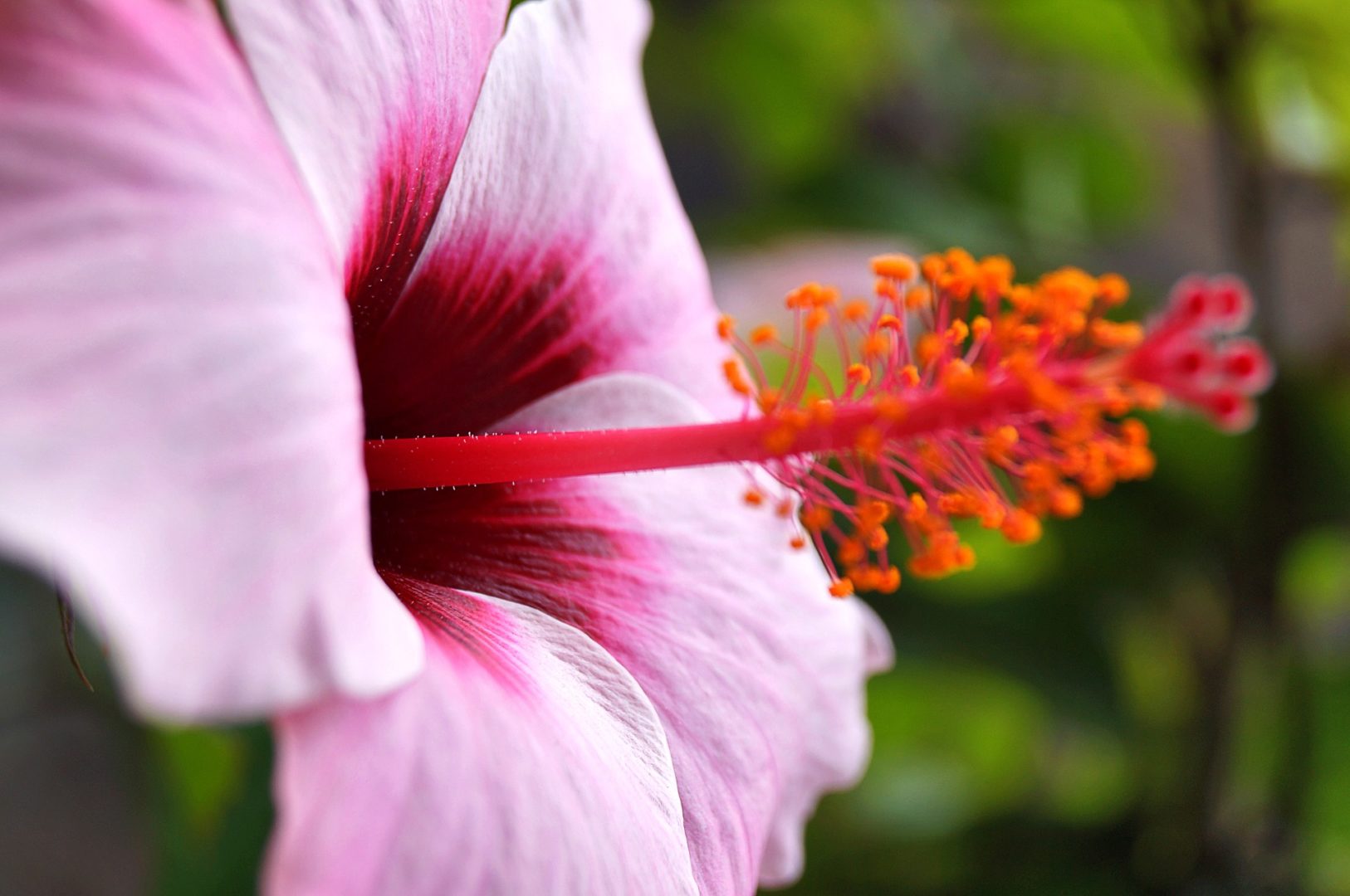 Charter Yacht Party Flower Arrangements-Tune Into the Colors of the Overall Theme of the Yacht Party 