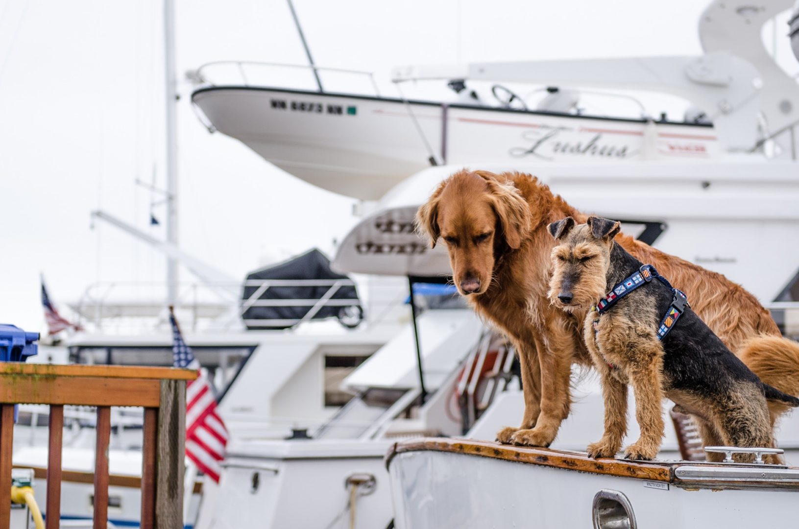 NYC Boat Wedding Tips - Wedding Invitation Timing